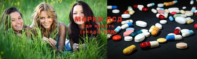 ЛСД экстази ecstasy  продажа наркотиков  Дигора 